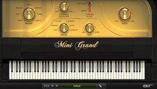 Mini Grand