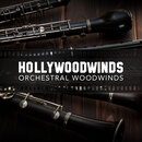 Hollywoodwinds