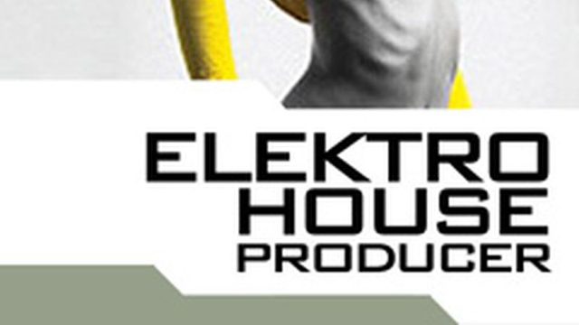 【ループ/サンプル集】Electro House Producer