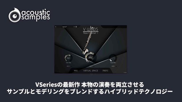VWinds Bass Clarinets