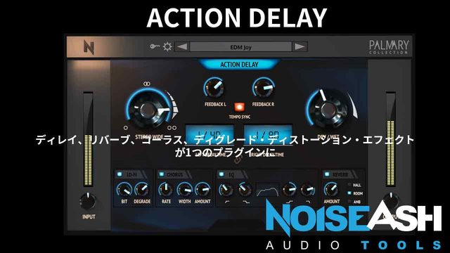 ACTION DELAY