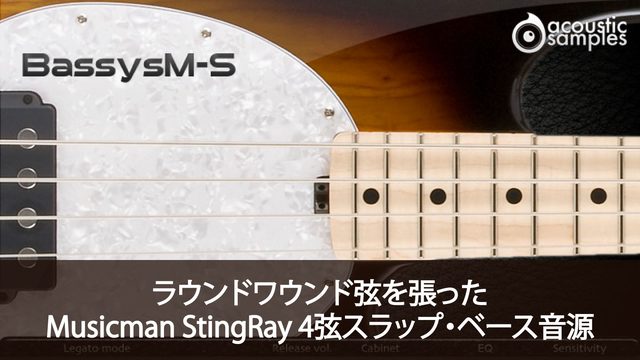 Acousticsamples Bassysm-S