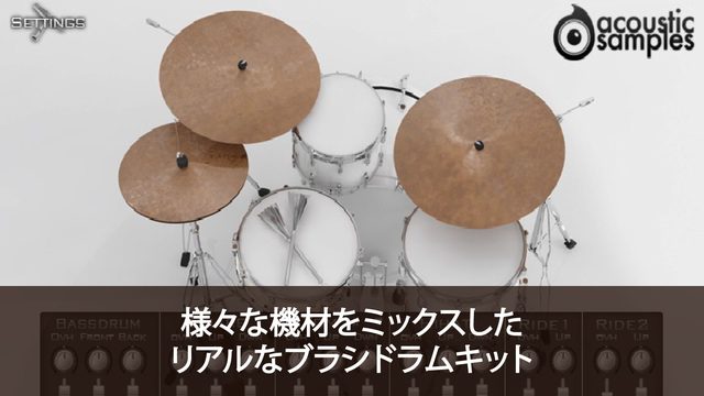 DrumTaste Brush