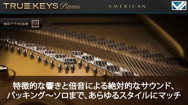 VI Labs True Keys American Grand