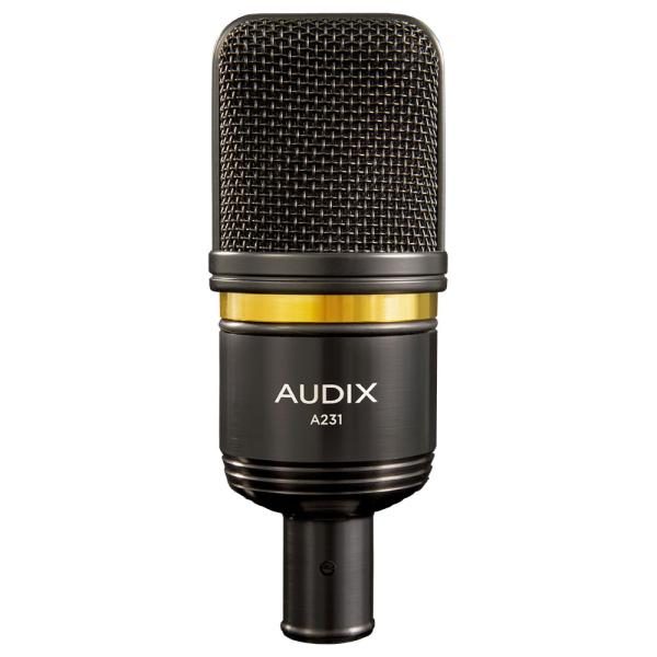 Audix A231