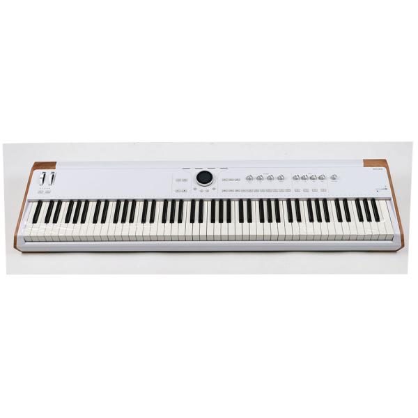 Arturia Astrolab 88
