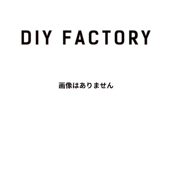 DJI MIC