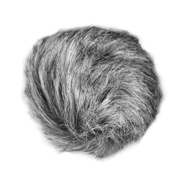 ZOOM WSU-1