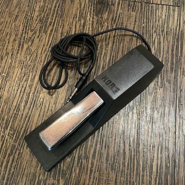 KORG DS-1H