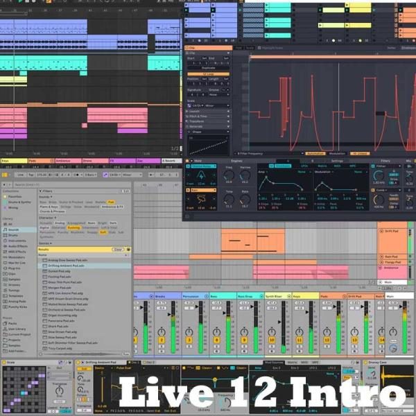 Ableton Live 12 Intro