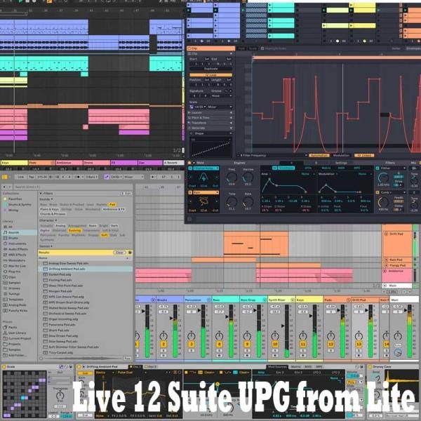 Ableton Live 12 Suite