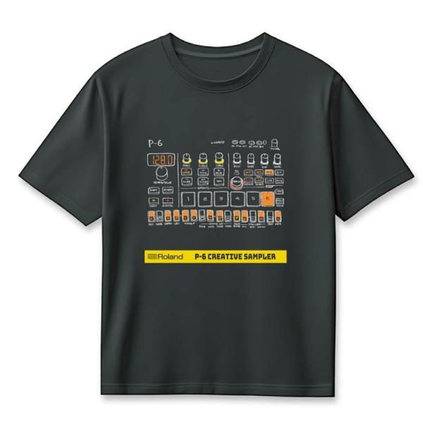 ROLAND P-6