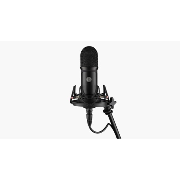 Voyage Audio Spatial Mic Dante