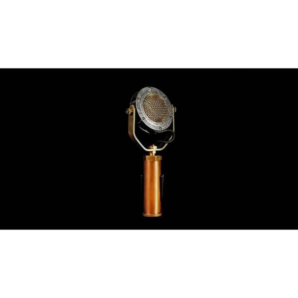 EAR TRUMPET LABS Delphina