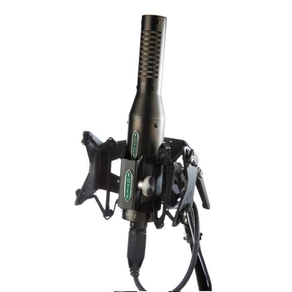 Royer Labs RSM-SS24