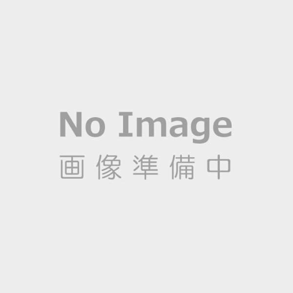 DJI Mic 3 (2TX+1RX+充電ケース)