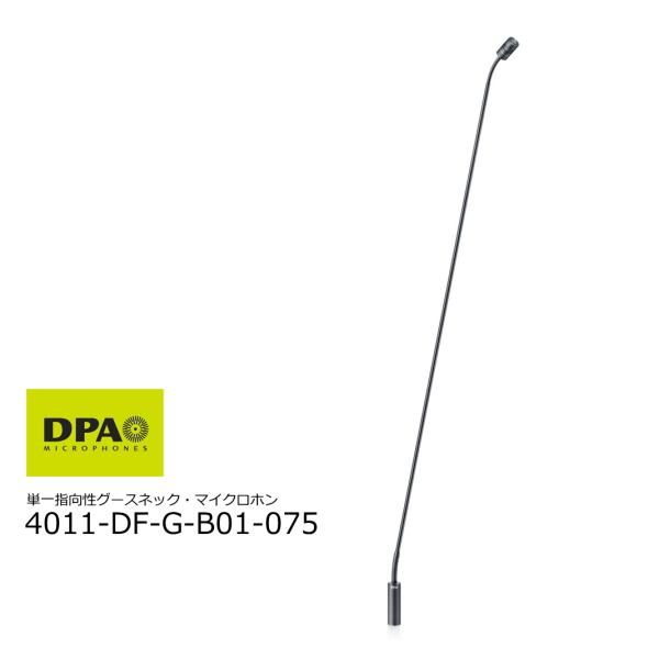 DPA 4011-DF-G-B01-075