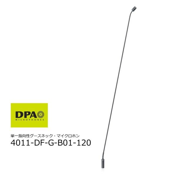DPA 4011-DF-G-B01-120