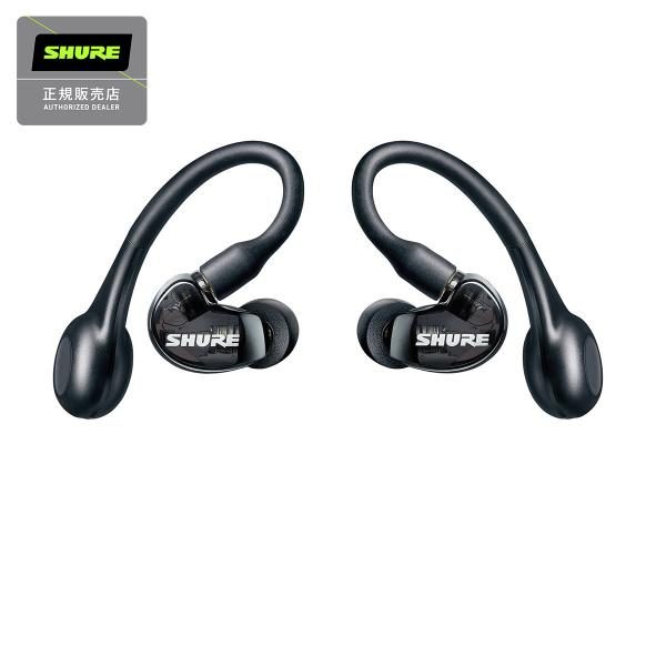 SHURE SE21DYBK+TW2-A