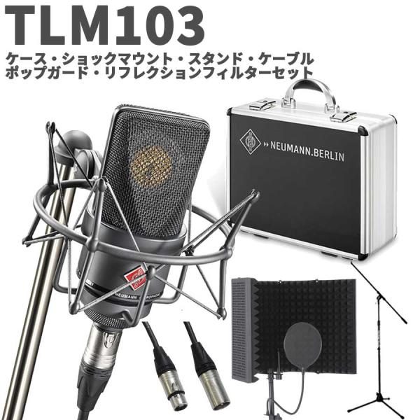 NEUMANN TLM103 mt mono set(ブラック)