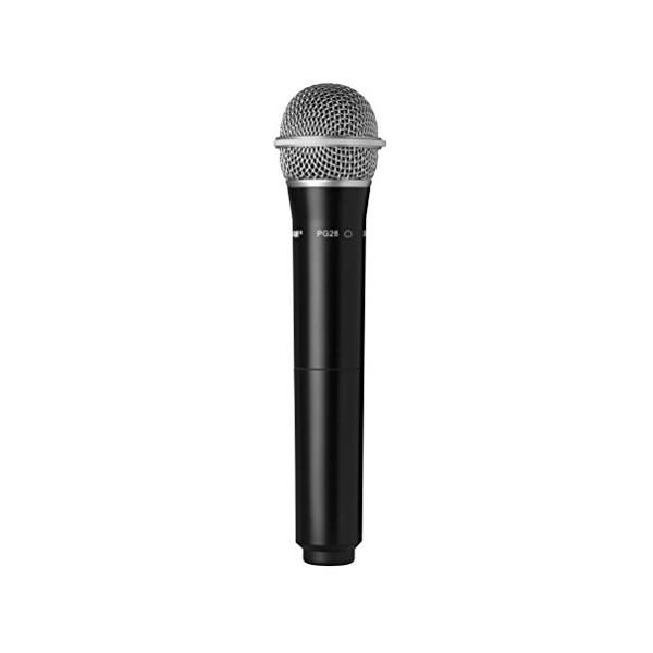 SHURE SVX2/PG28=-JB1