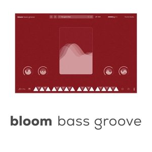 Bloom Bass Groove