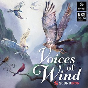 VOICE OF WIND: COLLECTION