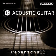 ACOUSTIC GUITAR / ELASTIK