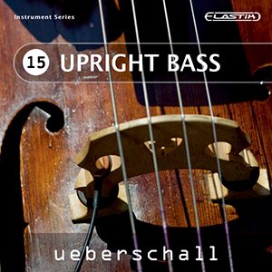 UPRIGHT BASS / ELASTIK