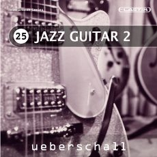 JAZZ GUITAR 2 / ELASTIK