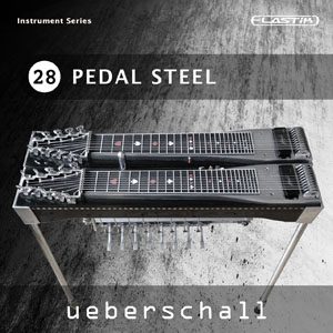 PEDAL STEEL / ELASTIK