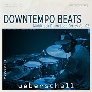 DOWNTEMPO BEATS / ELASTIK
