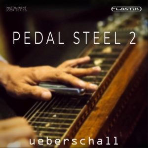 Pedal Steel 2