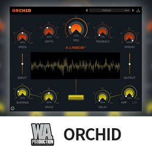 Orchid