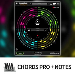 CHORDS PRO + NOTES