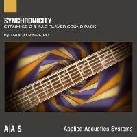 Synchronicity for Strum GS-2