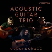 Acoustic Guitar Trio