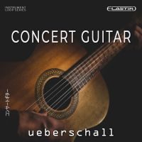 Concert Guitar