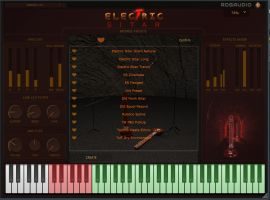 Electric Sitar