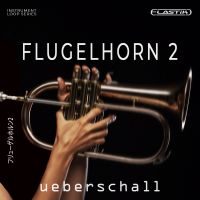 Flugelhorn 2