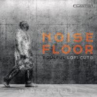 Noise Floor