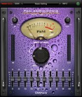 P&M AMBIOSONIQ