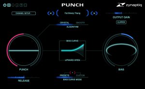 Zynaptiq Punch