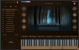 Vibraphonez2