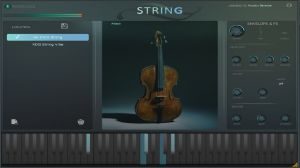 RDGString