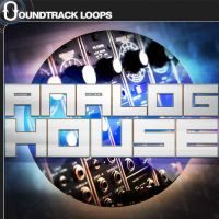 Analog House