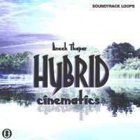 Aneek Thapar Hybrid Cinematics