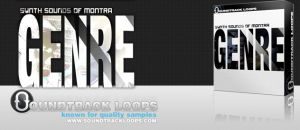 Synth Sounds Of Montra Genre
