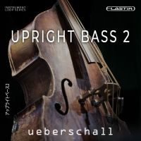 Upright Bass 2