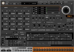Nasty Looper XDREAM Live